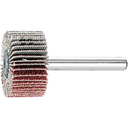 Pferd F 3015/6 A Meule à lamelles sur tige Ø30x15 mm