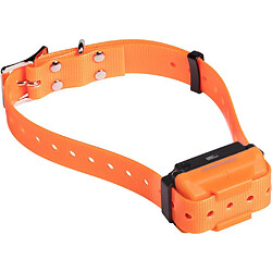 Num'Axes Canicom R Collier de dressage rechargeable orange