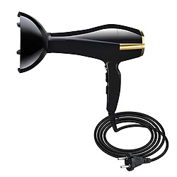 Avizar Sèche-cheveux Électrique 1500W Air Chaud et Air Froid Noir / Or