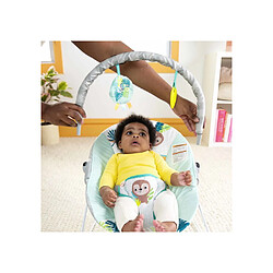 Bright starts Wild Wonders Transat vibrant bébé avec arche de jeu amovible Harnais 3 points