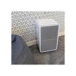 Avis Stylies STY7640115593672 Déshumidificateur portable 12 L/j 2,5 L Blanc/gris