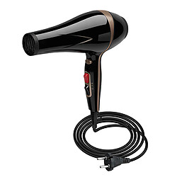 Avizar Sèche-cheveux 1550W Air Chaud et Froid Fonction Réduction Sonore Noir