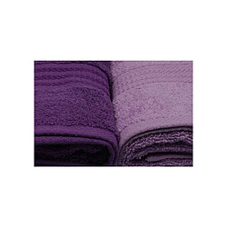 Acheter Asari 317HBY1257 Lot de 4 serviettes de main 50x90 cm violet dégradé 500 g/m²