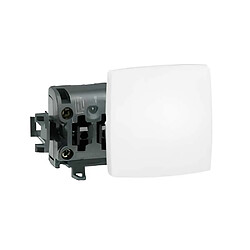 Legrand 086103 Interrupteur d'éclairage saillie bipolaire blanc mat