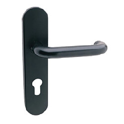 Poignée de porte Tesa