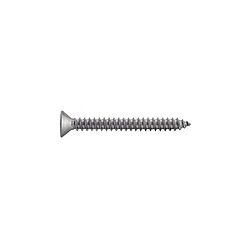 Acton 624104,8X19 Vis autotaraudeuse tête fraisée Torx inox A2 4,8x19 boîte 200