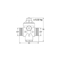 Watts Industries REDUFIX 2282110 Réducteur de pression 3/4" (20 mm)
