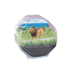 Clementoni Mini Terrarium Lion CLE8005125194711 kit scientifique éducatif 7+