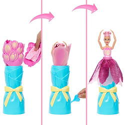 Avis Barbie Dreamtopia Princesse Cheveux Violets