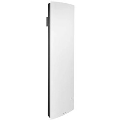 Radiateur à inertie