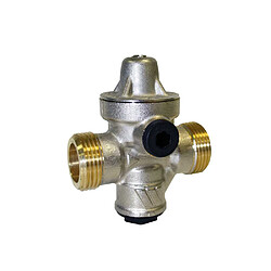 Watts Industries REDUFIX 2282110 Réducteur de pression 3/4" (20 mm)