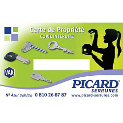 Picard TRIDENT VIGIE 8 mécanisme 3 points en applique doré tirage droite