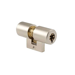 POLLUX Cylindre monobloc 30x30 mm nickelé modèle 952133