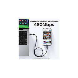 Acheter UGreen Câble USB-C vers USB-C 1 m 100W PD 3.0 tressé gunmetal