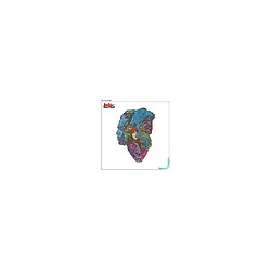 Forever Changes Édition 50th Anniversary Vinyle 33T Remasterisé - Love