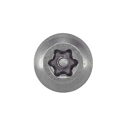 Avis Acton 628104 Vis de sécurité inox A2 4,2x38 mm tête bombée 6 lobes inviolable