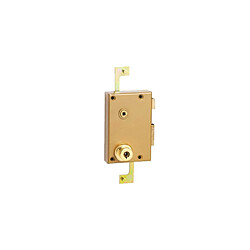 POLLUX 074100G Mécanisme fouillot multipoint vertical en applique 70 mm A2P*