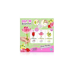 Acheter Canal toys stylo fleur à construire - Pack de 3