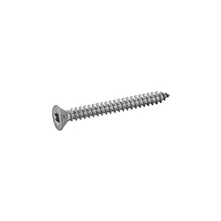 Acton 624104,8X19 Vis autotaraudeuse tête fraisée Torx inox A2 4,8x19 boîte 200