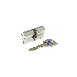 Cylindre de porte Bricard