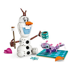Avis LEGO DISNEY 43287 Le pique-nique d'Olaf et Bruni