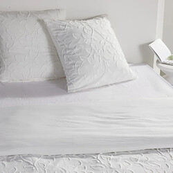 Today Essential Housse de couette 220x240 cm blanc pour 2 personnes