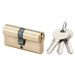 Cylindre européen 30x30 mm double entrée laiton poli RONIS