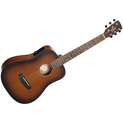 Earth Go Hyvibe Brown Burst + Housse Cort