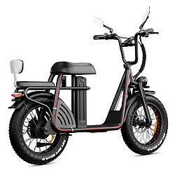 Avis Vélo électrique Drvetion ET20 20" 48V 15AH écran LCD 1000W Moteur Noir