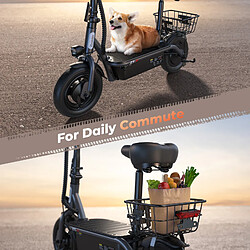 Trottinette électrique iScooter F3 10" Moteur 1000W 48V 13AH Avec cadre arrière Noir pas cher