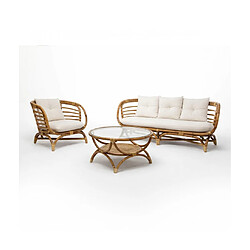 Pegane Ensemble salon, set de 3 meubles de salon en rotin et verre trempé coloris naturel