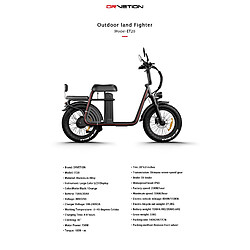 Vélo électrique Drvetion ET20 20" 48V 15AH écran LCD 1000W Moteur Noir pas cher