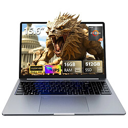Ninkear PC Portable AMD Ryzen 5 5500U - 15,6" FHD, 16GB RAM, 512GB SSD - Ordinateur Portable