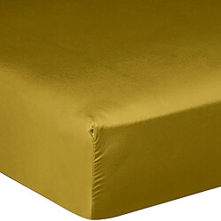 Bâton Rouge Drap housse 100% satin de coton 105 fils