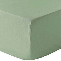 Home Collection Drap housse 100% percale de coton 80 fils/cm2-bonnet 30cm-uni