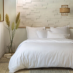 Home Collection Parure housse de couette 100%percale de coton 80 fils/cm2-uni