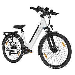 Acheter WITAMBIKE W275