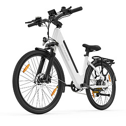 Avis WITAMBIKE W275