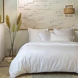 Home Collection Parure housse de couette 100%percale de coton 80 fils/cm2-uni