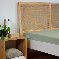 Home Collection Drap housse 100% percale de coton 65fils