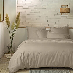 Home Collection Parure housse de couette 100%percale de coton 80 fils/cm2-uni