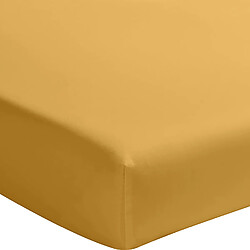 Bâton Rouge Drap housse en percale de coton