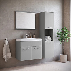 Acheter Badplaats Meuble de Salle de Bain Montreal Set 02 60 cm – Gris Mat – avec Lavabo et Miroir