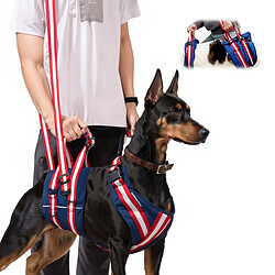 Equipement de transport pour chien