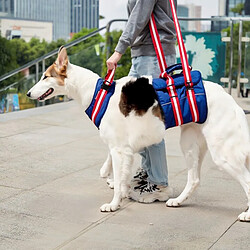 Harnais de soutien chien VERCART UD, fermeture Velcro sécurisée, sangles réglables. pas cher
