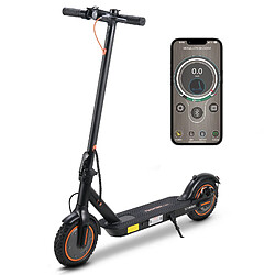 Trottinette électrique Twofish V1 Max, pliable, moteur 400W, 36V 10.4AH, Noir