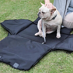Equipement de transport pour chien