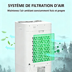 Acheter Rolipo Climatiseur portable 3 en 1 réservoir 15 L, oscillation 60°, 65 W, télécommande