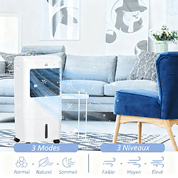Avis Rolipo Climatiseur portable 3 en 1 avec humidificateur et refroidissement par eau réservoir 15L