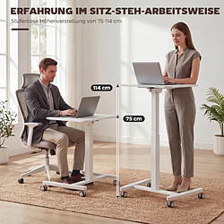 Acheter ByteLike Bureau pour ordinateur assis-debout